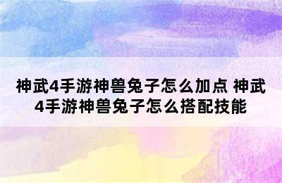 神武4手游神兽兔子怎么加点 神武4手游神兽兔子怎么搭配技能